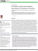 Cover page: The Shelterin TIN2 Subunit Mediates Recruitment of Telomerase to Telomeres