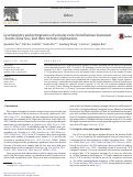 Cover page: Geochemistry and petrogenesis of volcanic rocks from Daimao Seamount (South China Sea) and their tectonic implications