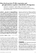 Cover page: Heat shock protein 27 kDa expression and phosphorylation regulates endothelial cell migration