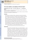 Cover page: The F pilus mediates a novel pathway of CDI toxin import