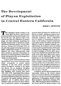 Cover page: The Development of Pinyon Exploitation in Central Eastern California