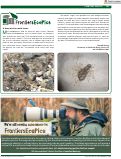Cover page: A dewy diet for moth larvae