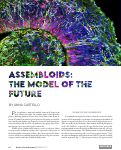 Cover page: Assembloids: The Model of the Future