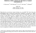 Cover page: THERMAL SIMULATIONS OF THE NDCX-I TARGET EXPERIMENTS