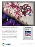 Cover page: Structure and luminescence of DNA-templated silver clusters