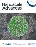 Cover page: Insights into the 3D permeable pore structure within novel monodisperse mesoporous silica nanoparticles by cryogenic electron tomography