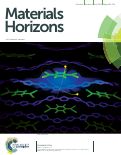 Cover page: Polymorphism controls the degree of charge transfer in a molecularly doped semiconducting polymer