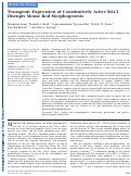 Cover page: Transgenic Expression of Constitutively Active RAC1 Disrupts Mouse Rod MorphogenesisTransgenic Expression of Constitutively Active RAC1