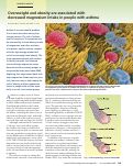 Cover page: Overweight and obesity are associated with decreased magnesium intake in people with asthma