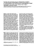 Cover page: The major myosin-binding domain of skeletal muscle MyBP-C (C protein) resides in the COOH-terminal, immunoglobulin C2 motif.