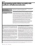 Cover page: Programming multicellular assembly with synthetic cell adhesion molecules