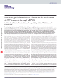 Cover page: Structure-guided simulations illuminate the mechanism of ATP transport through VDAC1