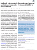 Cover page: Bottleneck and selection in the germline and maternal age influence transmission of mitochondrial DNA in human pedigrees