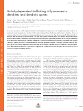 Cover page: Activity-dependent trafficking of lysosomes in dendrites and dendritic spines