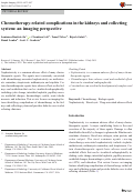 Cover page: Chemotherapy-related complications in the kidneys and collecting system: an imaging perspective