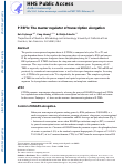 Cover page: P-TEFb: The master regulator of transcription elongation