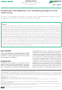 Cover page: Introduction and adaptation of an emerging pathogen to olive trees in Italy.