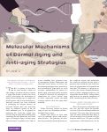 Cover page: Molecular Mechanisms of Dermal Aging and Anti-Aging Strategies