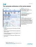 Cover page: The molecular architecture of the nuclear basket