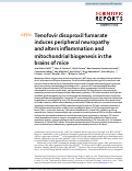 Cover page: Tenofovir disoproxil fumarate induces peripheral neuropathy and alters inflammation and mitochondrial biogenesis in the brains of mice