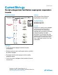 Cover page: Social antagonism facilitates supergene expansion in ants