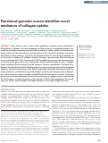 Cover page: Functional genomic screen identifies novel mediators of collagen uptake