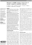 Cover page: Mutations in LAMB2 causing a severe form of synaptic congenital myasthenic syndrome