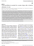 Cover page: Ventral pallidum is essential for cocaine relapse after voluntary abstinence in rats