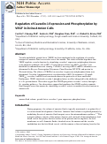 Cover page: Regulation of Caveolin-1 Expression and Phosphorylation by VEGF in Ovine Amnion Cells