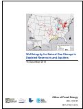 Cover page: Well Integrity for Natural Gas Storage in Depleted Reservoirs and Aquifers: DOE National Laboratories Well Integrity Work Group