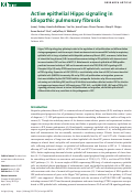 Cover page: Active epithelial Hippo signaling in idiopathic pulmonary fibrosis