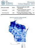 Cover page of Wisconsin Census Snapshot: 2010