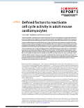 Cover page: Defined factors to reactivate cell cycle activity in adult mouse cardiomyocytes