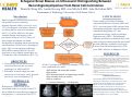 Cover page of Echogenic Renal Masses on Ultrasound: Distinguishing Between Renal Angiomyolipomas From Renal Cell Carcinomas