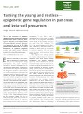 Cover page: Taming the young and restless—epigenetic gene regulation in pancreas and beta‐cell precursors