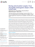 Cover page: Resting mitochondrial complex I from Drosophila melanogaster adopts a helix-locked state