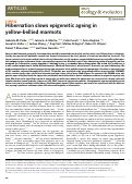 Cover page: Hibernation slows epigenetic ageing in yellow-bellied marmots