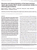 Cover page: Structure and stereochemistry of the base excision repair glycosylase MutY reveal a mechanism similar to retaining glycosidases