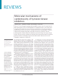 Cover page: Molecular mechanisms of cardiotoxicity of tyrosine kinase inhibition.