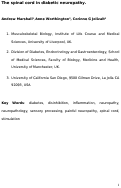 Cover page: The Spinal Cord in Diabetic Neuropathy