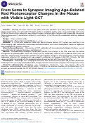 Cover page: From Soma to Synapse: Imaging Age-Related Rod Photoreceptor Changes in the Mouse with Visible Light OCT