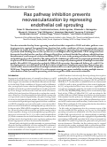 Cover page: Ras pathway inhibition prevents neovascularization by repressing endothelial cell sprouting