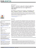 Cover page: Rad21l1 cohesin subunit is dispensable for spermatogenesis but not oogenesis in zebrafish