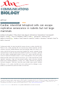 Cover page: Cardiac interstitial tetraploid cells can escape replicative senescence in rodents but not large mammals