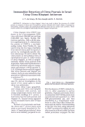 Cover page: Immunoblot Detection of Citrus Psorosis in Israel Using Citrus Ringspot Antiserum