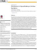 Cover page: Development of Apical Blebbing in the Boar Epididymis