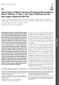 Cover page: Amelioration of Both Central and Peripheral Neuropathy in Mouse Models of Type 1 and Type 2 Diabetes by the Neurogenic Molecule NSI-189