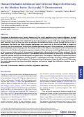 Cover page: Human-Mediated Admixture and Selection Shape the Diversity on the Modern Swine (Sus scrofa) Y Chromosomes