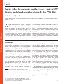 Cover page: Septin collar formation in budding yeast requires GTP binding and direct phosphorylation by the PAK, Cla4