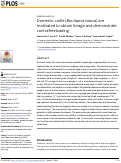 Cover page: Domestic cattle (Bos taurus taurus) are motivated to obtain forage and demonstrate contrafreeloading